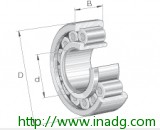INA圆柱滚子轴承 SL19 2320TB-BR-XL-C
