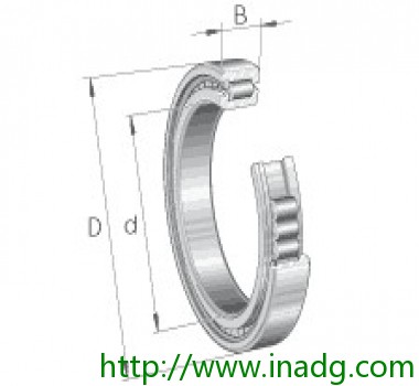 INA圆柱滚子轴承 SL185048-A-C3